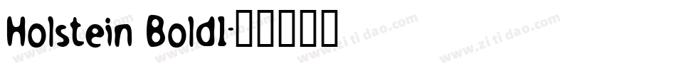 Holstein Bold1字体转换